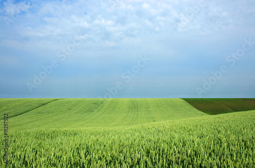 Just a field