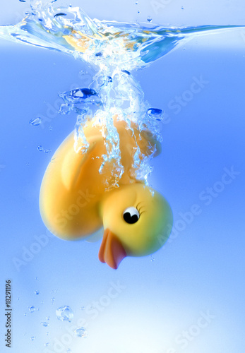 Badeente photo