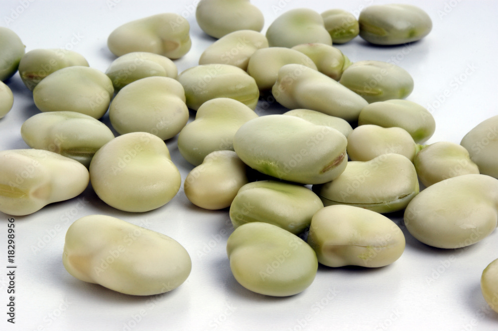 organic broad beans and a white background organic broad beans and a white background