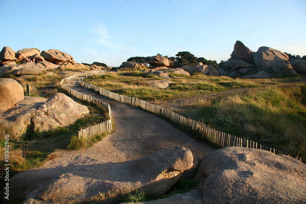 chemin dans la lande