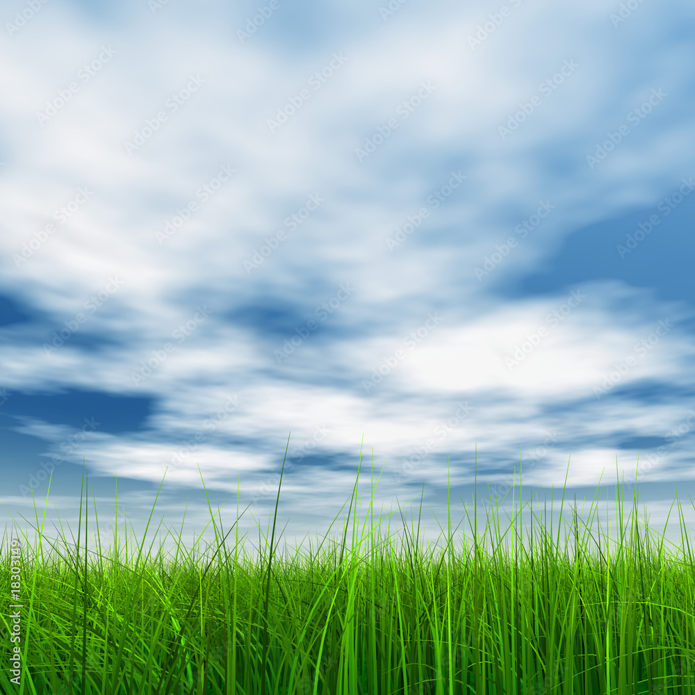 High resolution grass and sky background