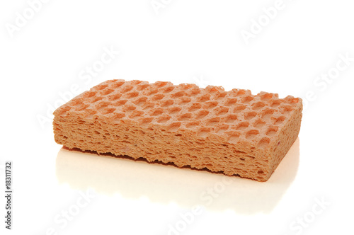 Sponge on white with clipping path