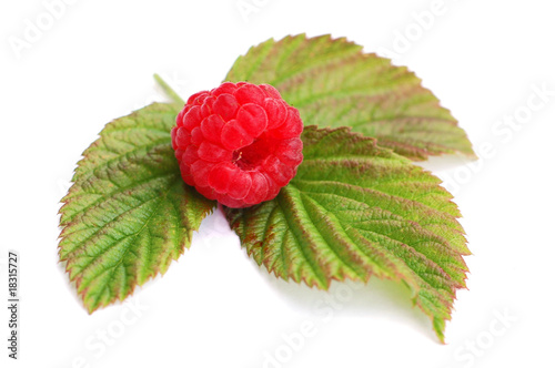 Raspberry 1