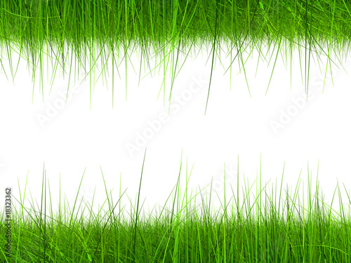 high resolution 3d green grass frame isolated on a white