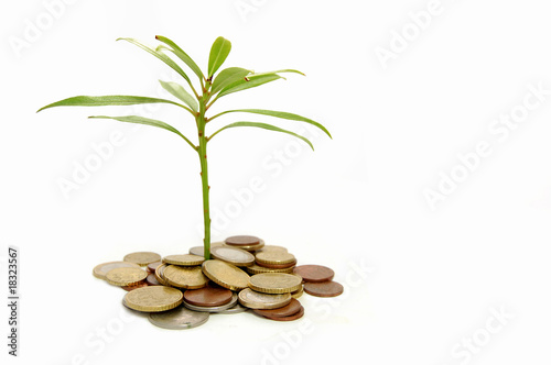 Money and growth