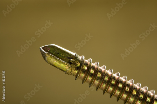 gold screw on golden background