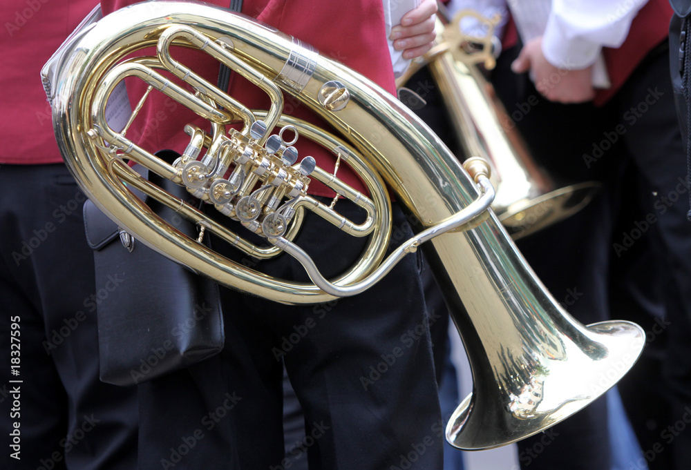Fototapeta premium Tubaspieler