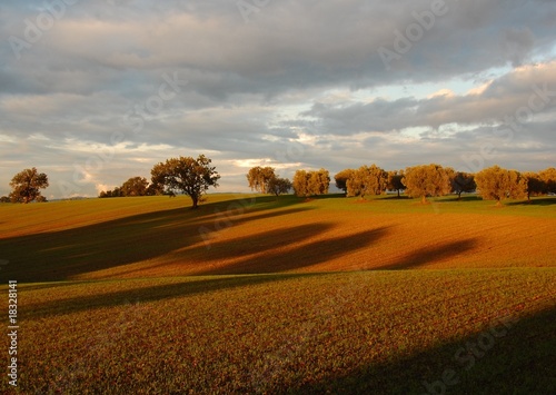 Photos Campagna Romana presso Campoleone