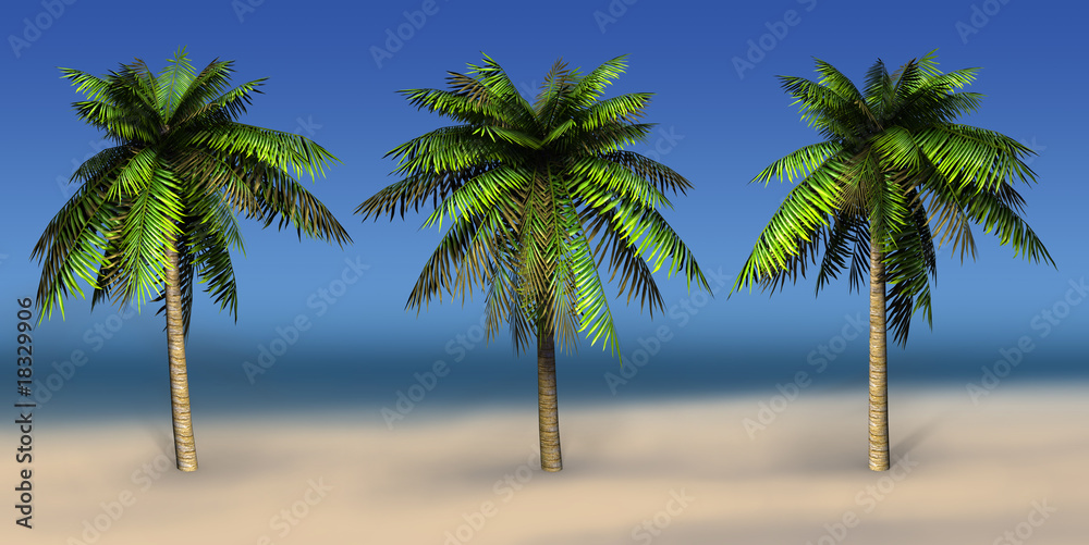 Palms on a sea background. 3D art-illustration.