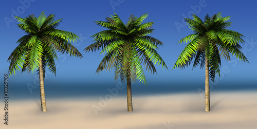 Palms on a sea background. 3D art-illustration. © Tetiana Nikonorova