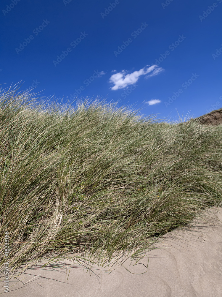 Naklejka premium saunton sands