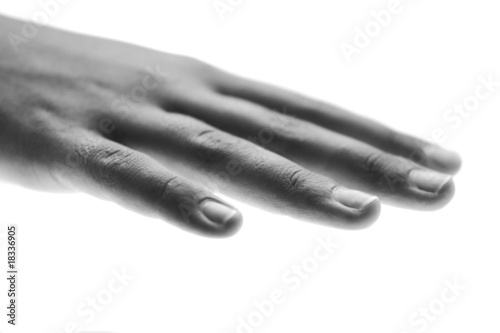 mano in bianco e nero
