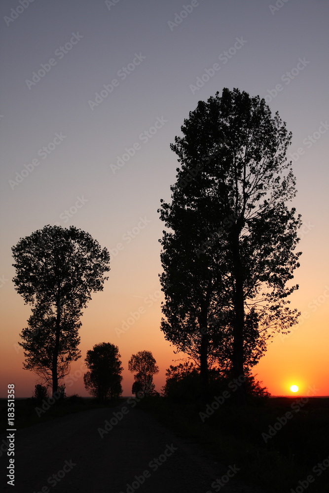 Sunset and trees Sunset and trees