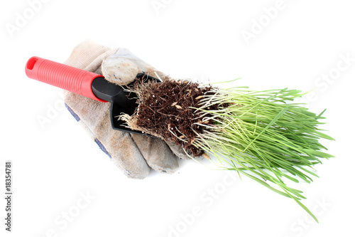 Trowel and grass