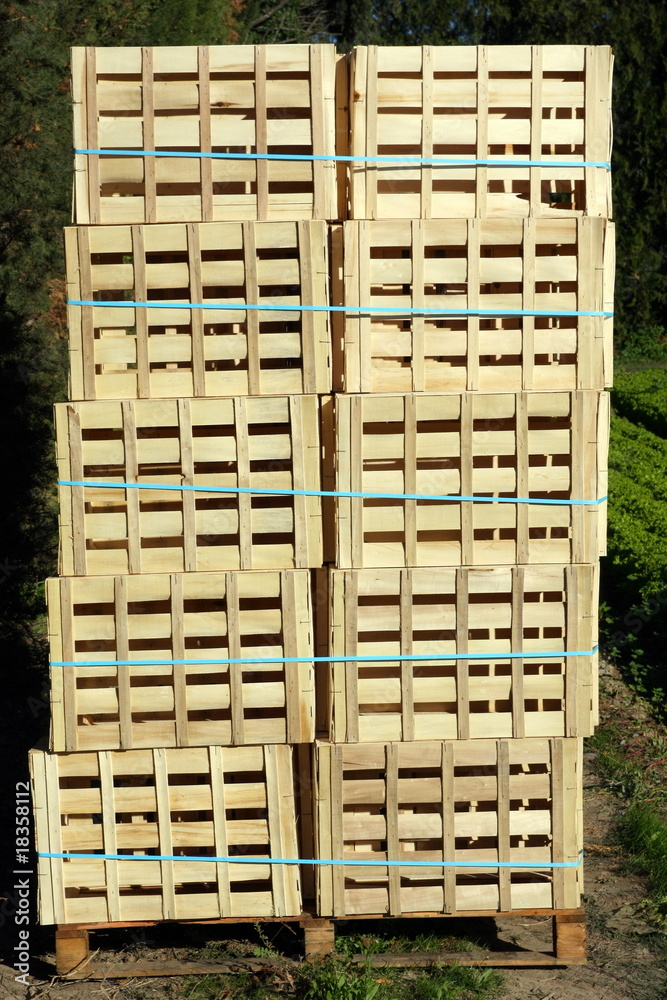 Emballages pour fruits et légumes