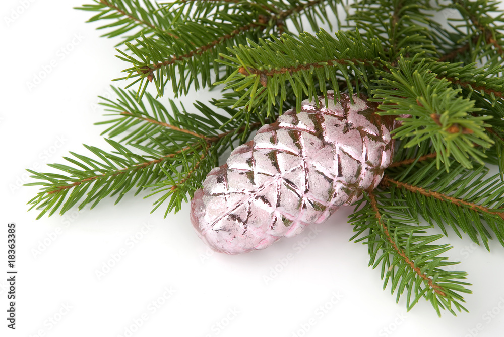 branch of Christmas tree on white branch of Christmas tree on white