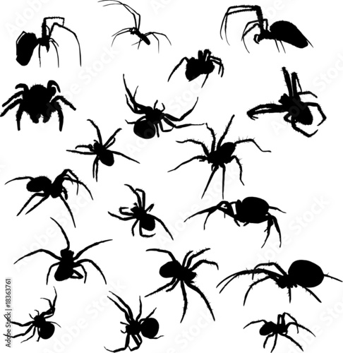 eighteen spider silhouettes © Alexander Potapov