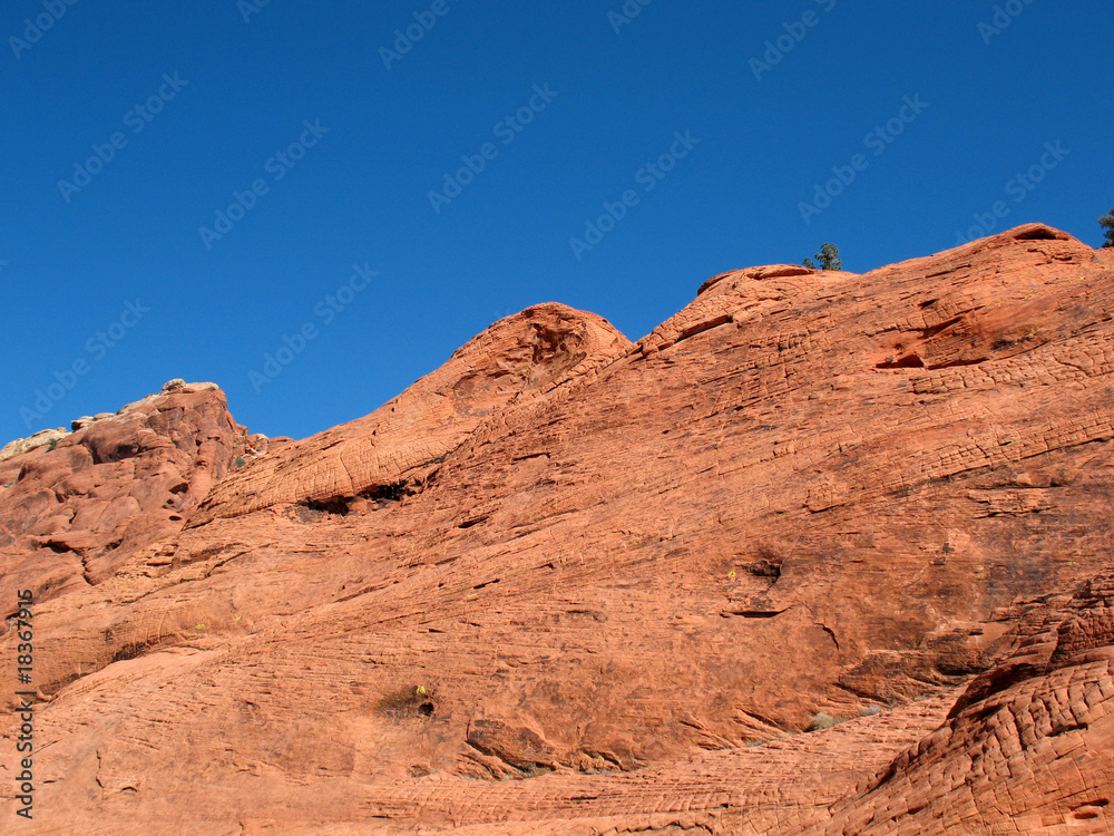Fototapeta premium Rock in Valley of Fire, Nevada