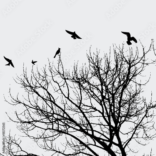 Branch and birds