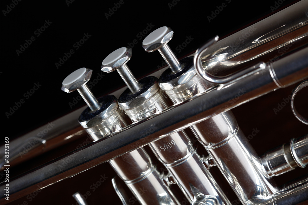 Fototapeta premium trumpet detail on black