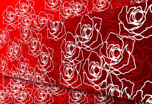Rose background