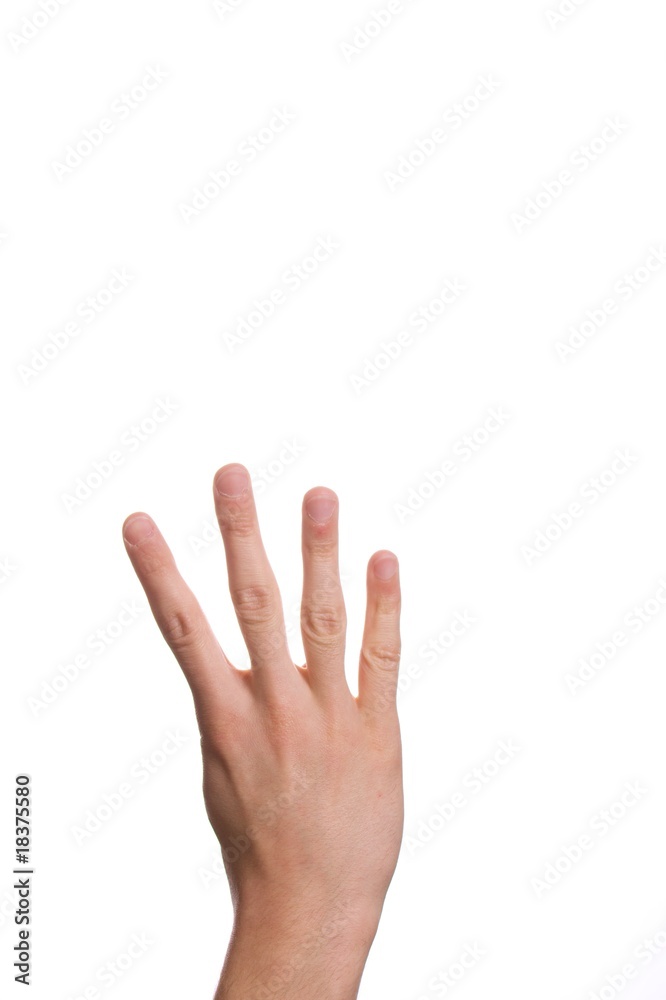 4 fingers 4 fingers