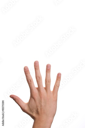 Winken photo