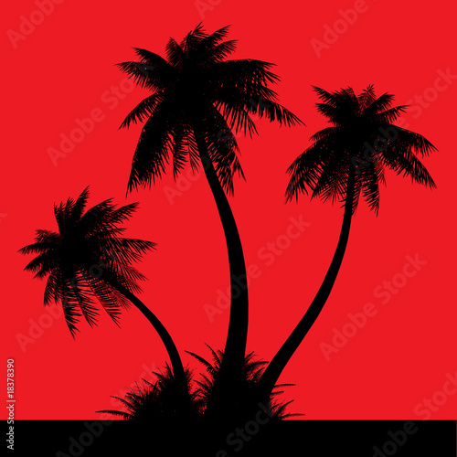 Silhouette of palms on a red background.