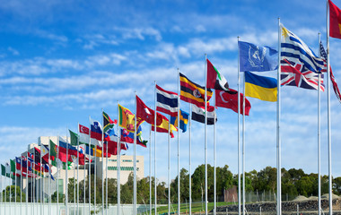 flags of the world