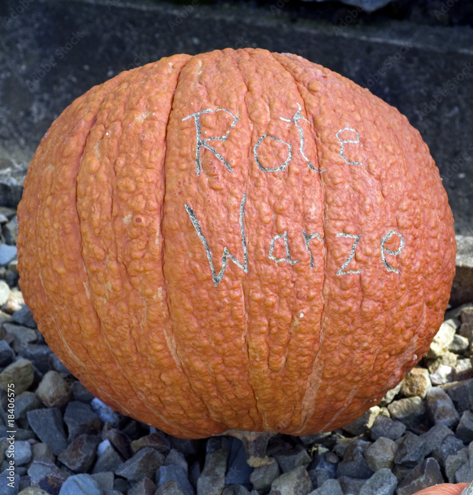 Rote Warze; Kuerbis StockFoto Adobe Stock