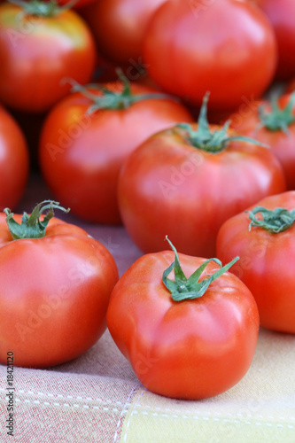 Organic Tomatoes