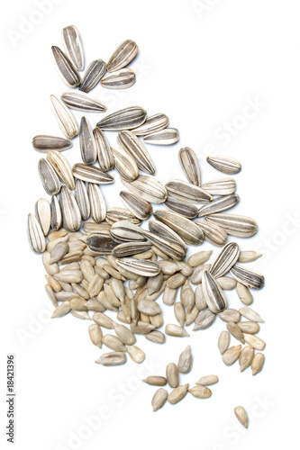 Sunflower seed isolated on white