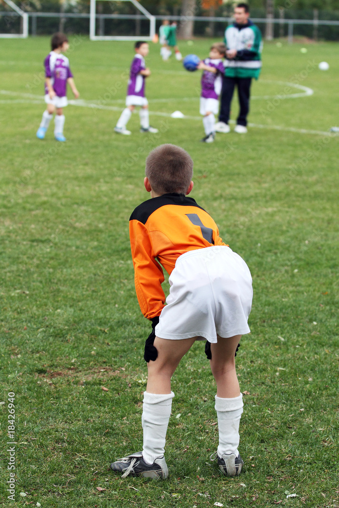 Fototapeta premium goal