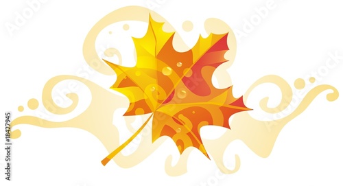 MapleDesign