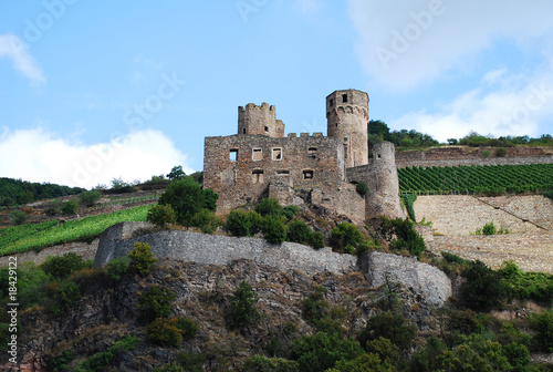 Burg am Rhein