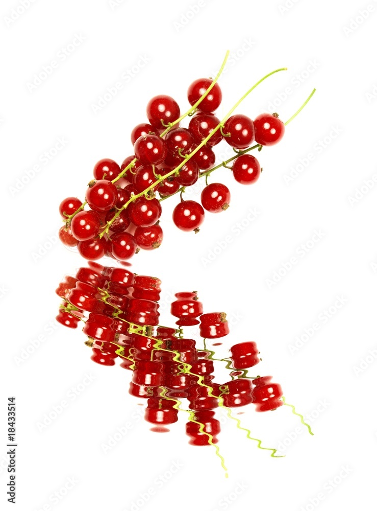 Red currant with water reflection Red currant with water reflection