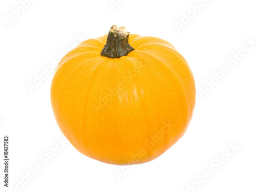 Pumpkin on white background