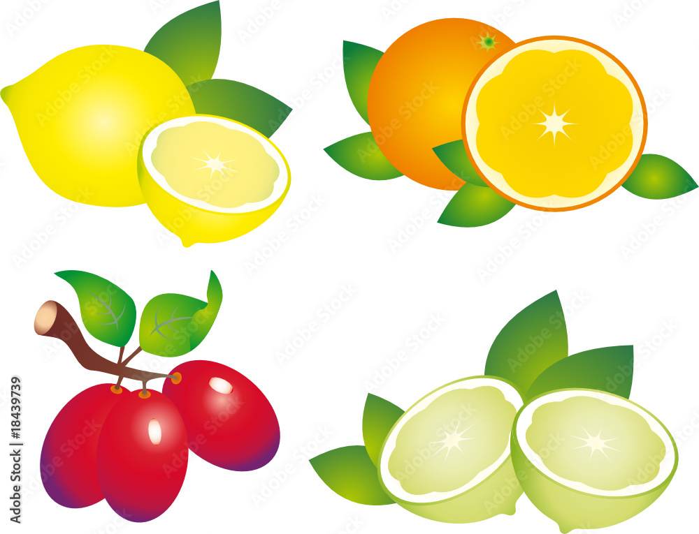 Fruits vector Fruits vector