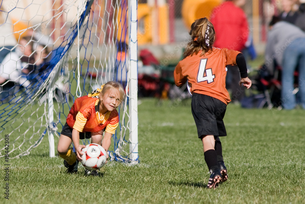 Obraz premium Goalie Save