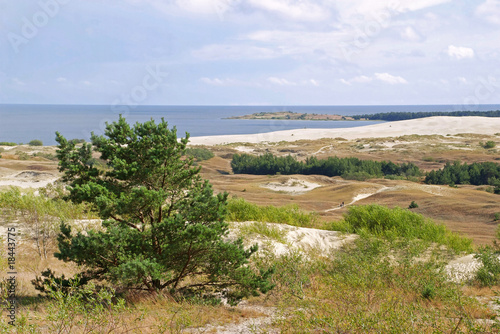 Dune Efa on the Curonian Spit