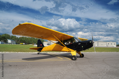 Bilde på lerret Vintage plane on the airshow (3)