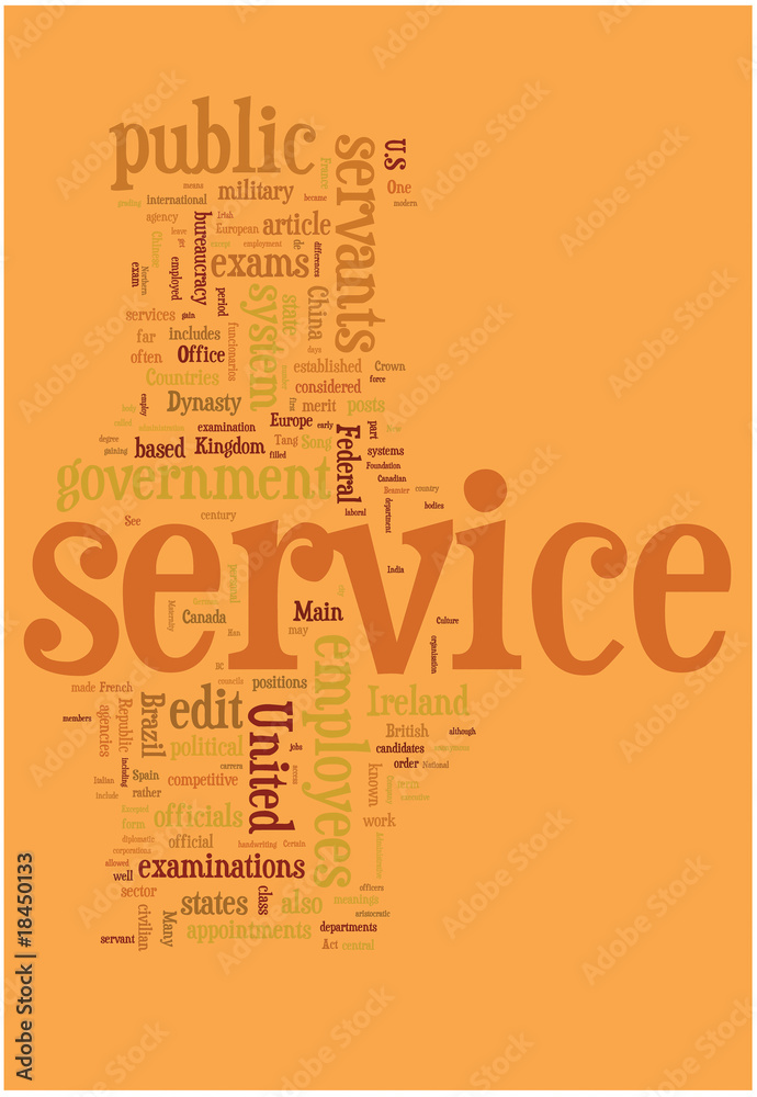 Obraz premium Service word cloud