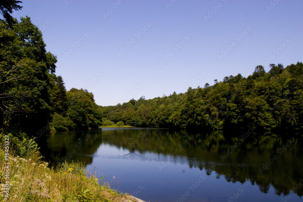 reflection of trees in a lake