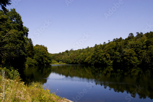 Fototapeta Naklejka Na Ścianę i Meble -  reflection of trees in a lake