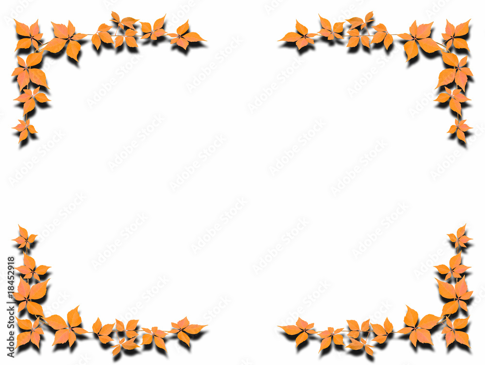 Fototapeta premium Blätter 11