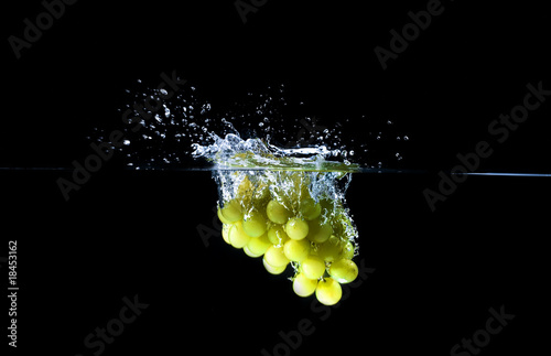 splash