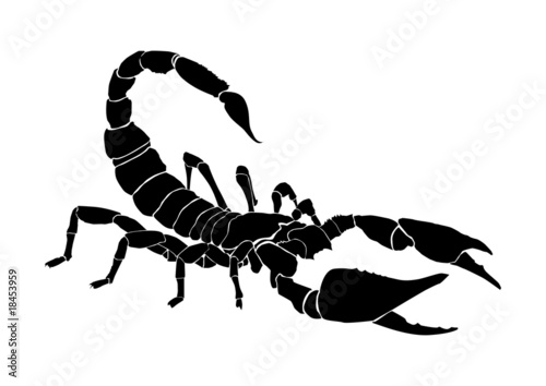 tattoo of the scorpio