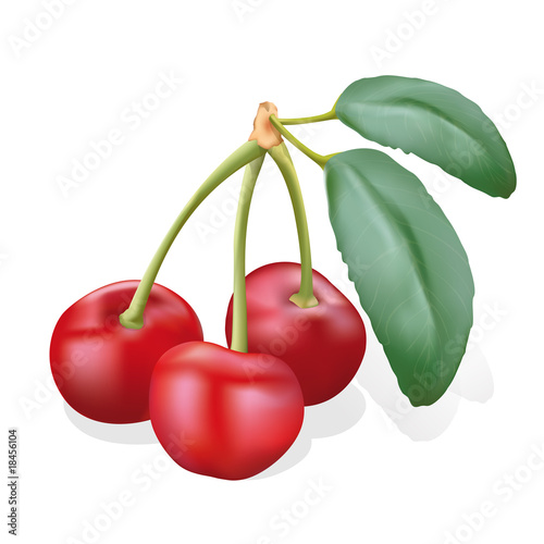 Cerises