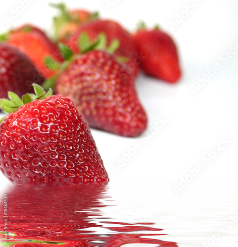 Morangos -Strawberries - Freza photo