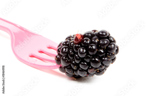 fresh juicy blackberrie on a pink fork photo